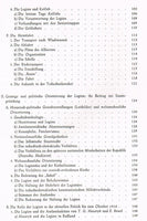 Die Tschechoslowakische Legion in Russland. Ihre Geschichte und Bedeutung bei der Entstehung der 1. Tschechoslowakischen Republik.