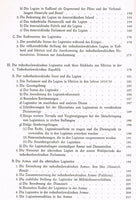 Die Tschechoslowakische Legion in Russland. Ihre Geschichte und Bedeutung bei der Entstehung der 1. Tschechoslowakischen Republik.