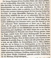 Die politischen Kämpfe um den Frieden (1916-1918) und das Deutschtum