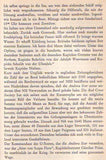 Schwarze Schiffe weite See. Die geheimnisvollen Fahrten deutscher Blockadebrecher.