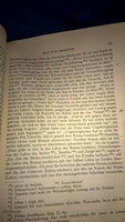 Zum Dsungarenkrieg im 18.Jahrhundert: Berichte des Generals Funingga.