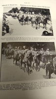 Geschichte des Kavallerie-Regiments 6