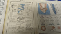 How do you read a map? Introduction to the understanding of topographic maps.