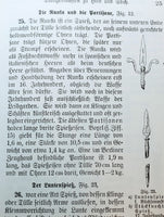 Die blanken Waffen und die Schutzwaffen: Ihre Entwicklung von der Zeit der Landsknechte bis zur Gegenwart mit besonderer Berücksichtugung der Waffen in Deutschland, Österreich-Ungarn und Frankreich