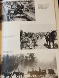 252. Infanterie-Division 1939 - 1945. Der Weg der Eichenlaub-Division in Bildern