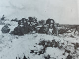 252. Infanterie-Division 1939 - 1945. Der Weg der Eichenlaub-Division in Bildern