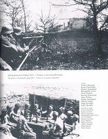 Panzer grenadiers of the "Wiking" armored division in the picture.