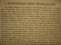 Um Vaterland und Freiheit. Wirklichkeitsaufnahmen aus dem großen Kriege nebst einer Einführung. Band 3.