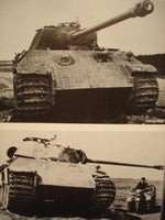 1945 - Panzer an der Weichsel. Soldaten der letzten Stunde.