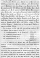 Der italienische Krieg 1859 politisch-militärisch beschrieben.