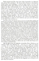 Seekriege und Seekriegswesen in ihrer Weltgeschichtlichen Entwicklung-Erster Band: Von den Anfängen bis 1740
