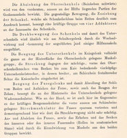Das Militärische Training auf Physiologischer und Praktischer Grundlage. Ein Leitfaden für Offiziere und Militärärzte.