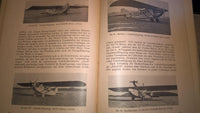 Deutsche Flugzeugkonstrukteure. Werdegang und Erfolge unserer Flugzeug- und Flugmotorenbauer.